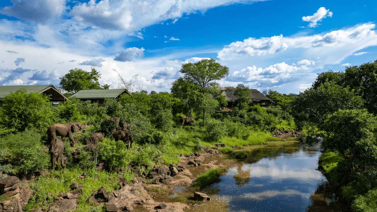 Zambezi Essence Luxury Wildlife