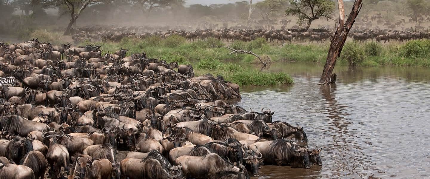 Zambezi Essence Grumeti Serengeti