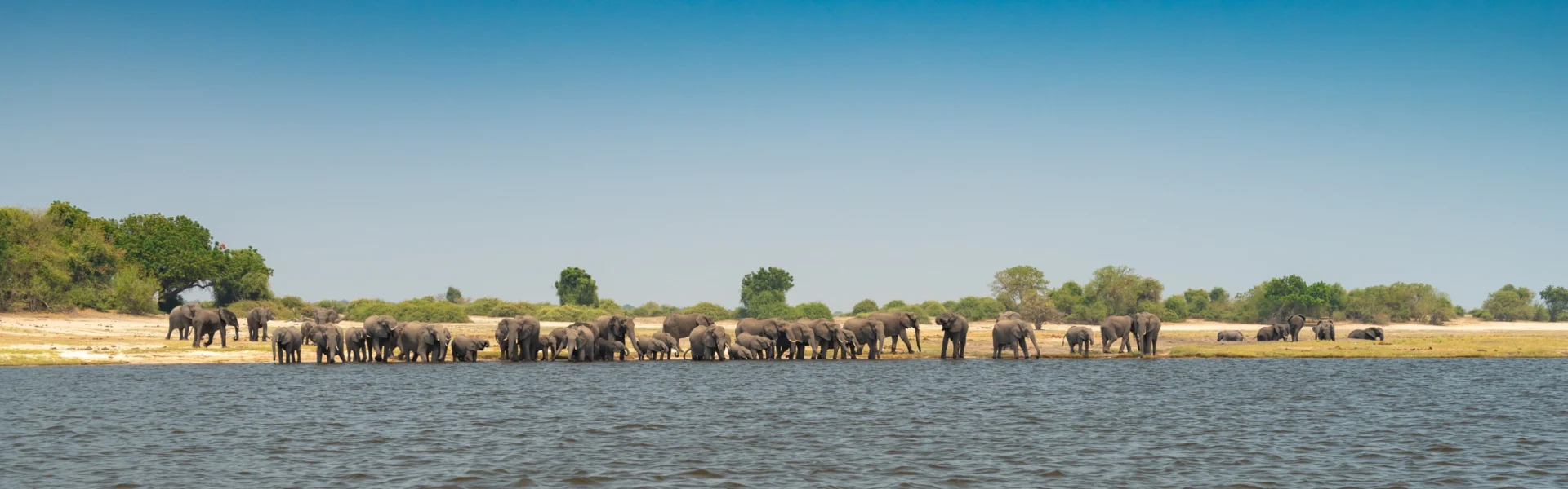 Zambezi Essence Kasane Botswana