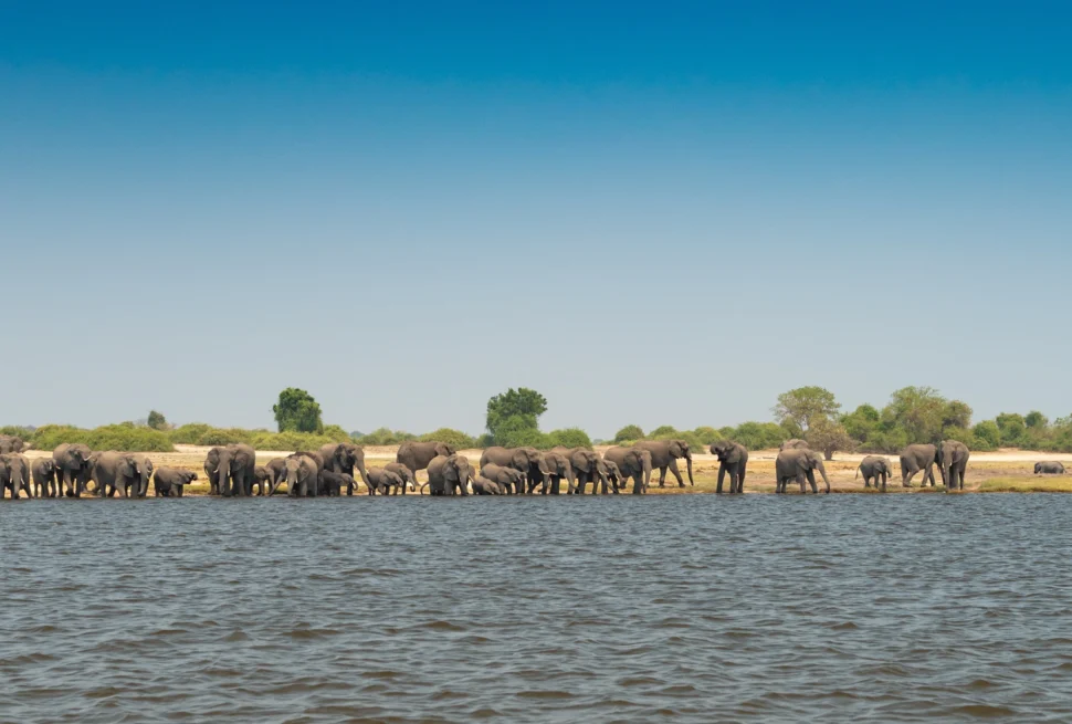 Zambezi Essence Kasane Botswana